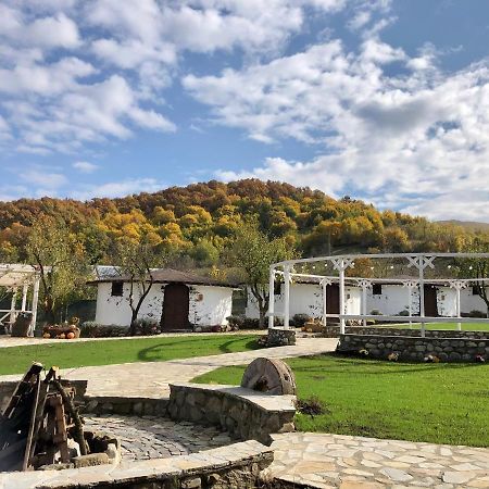 Satul Cu Flori Hotel Buzau Exterior photo