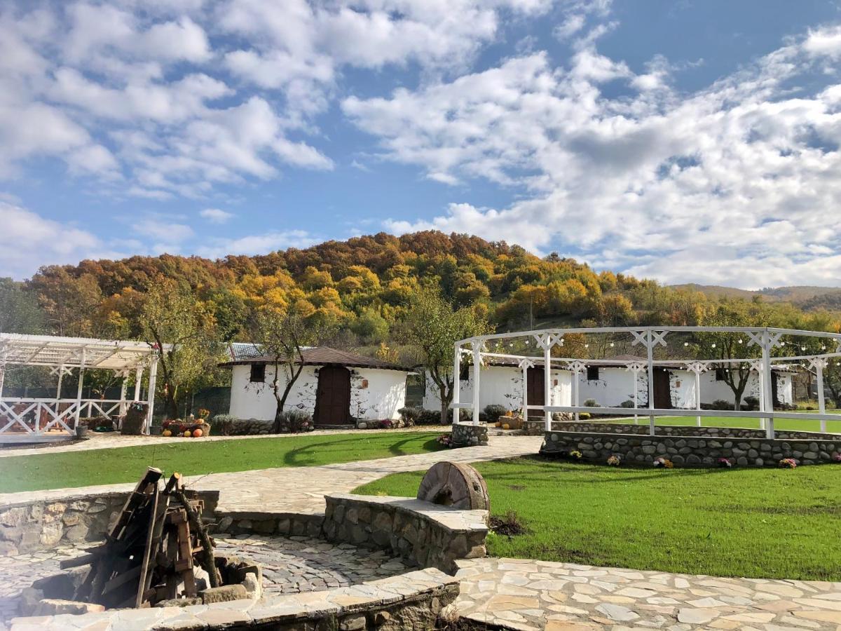Satul Cu Flori Hotel Buzau Exterior photo